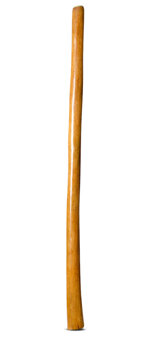 Gloss Finish Didgeridoo (TW1168)